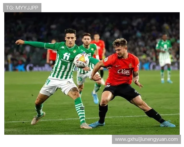 博阿维斯塔战术解析