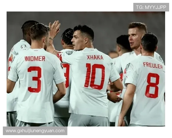 罗马尼亚欧预赛表现