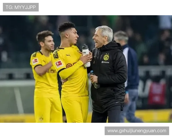 贝林厄姆：全能B2B还是组织核心？